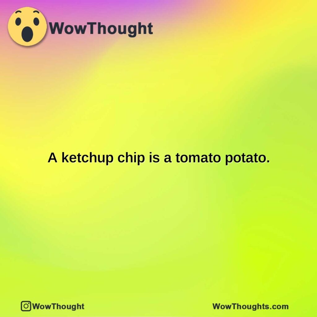 a-ketchup-chip-is-a-tomato-potato.-1