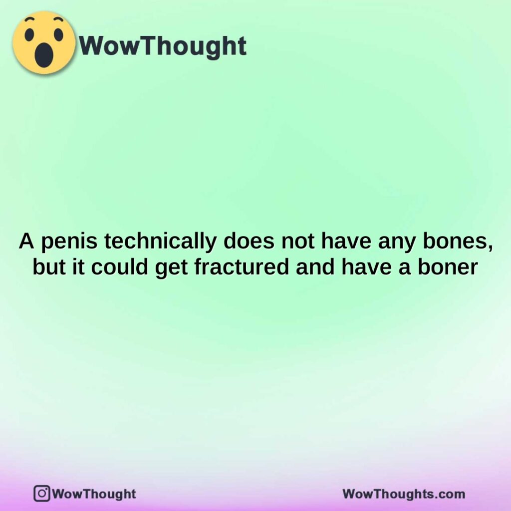 a-penis-technically-does-not-have-any-bones-but-it-could-get-fractured-and-have-a-boner