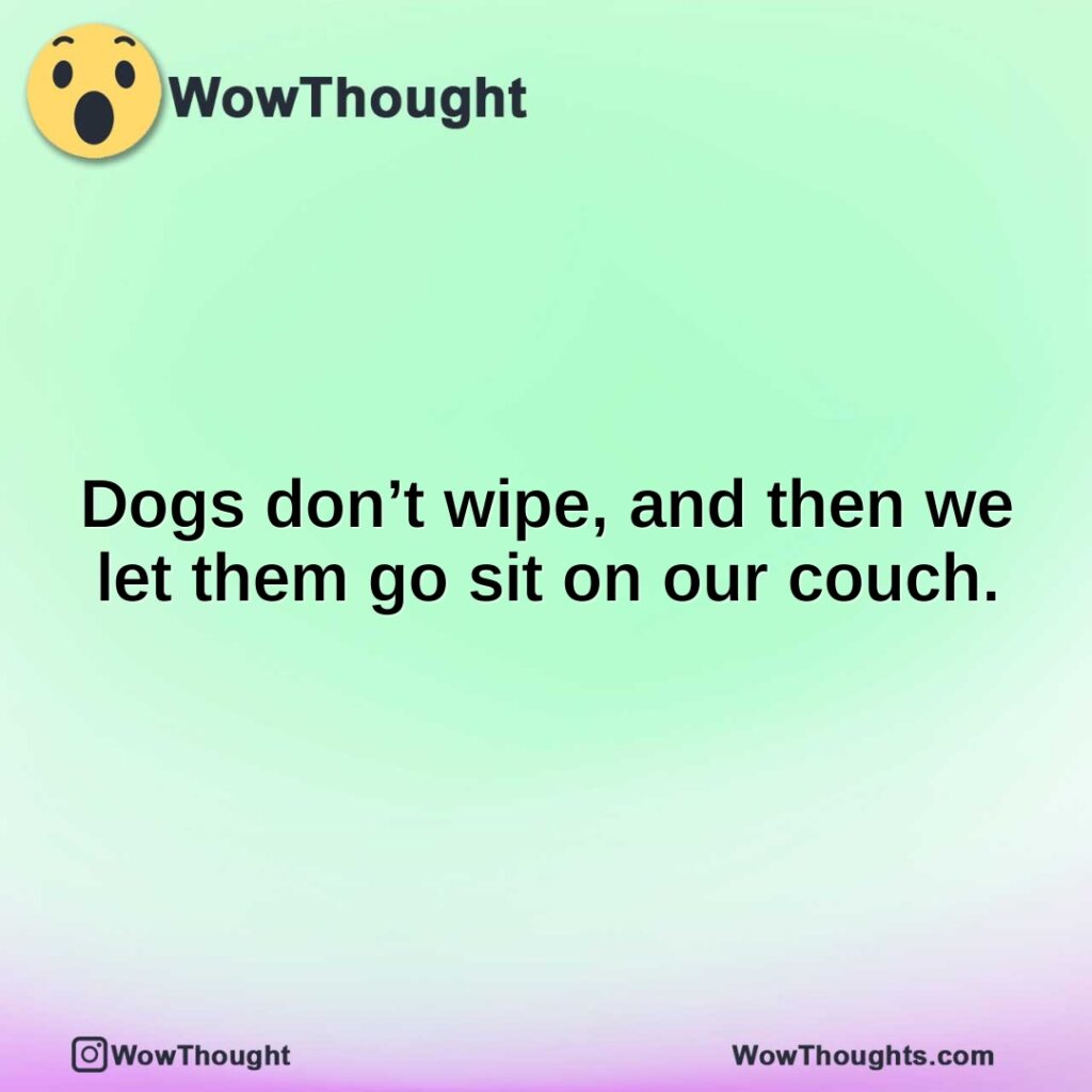 dogs-dont-wipe-and-then-we-let-them-go-sit-on-our-couch.