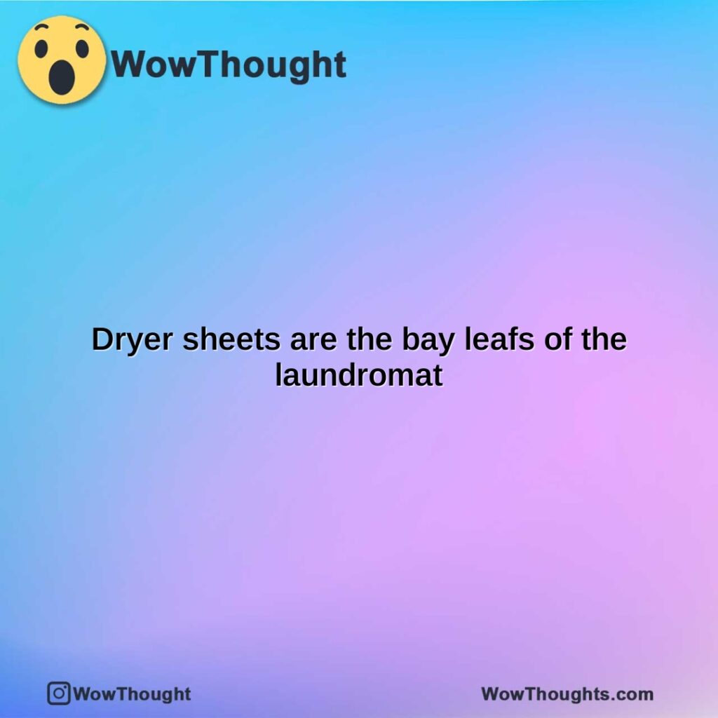 dryer-sheets-are-the-bay-leafs-of-the-laundromat