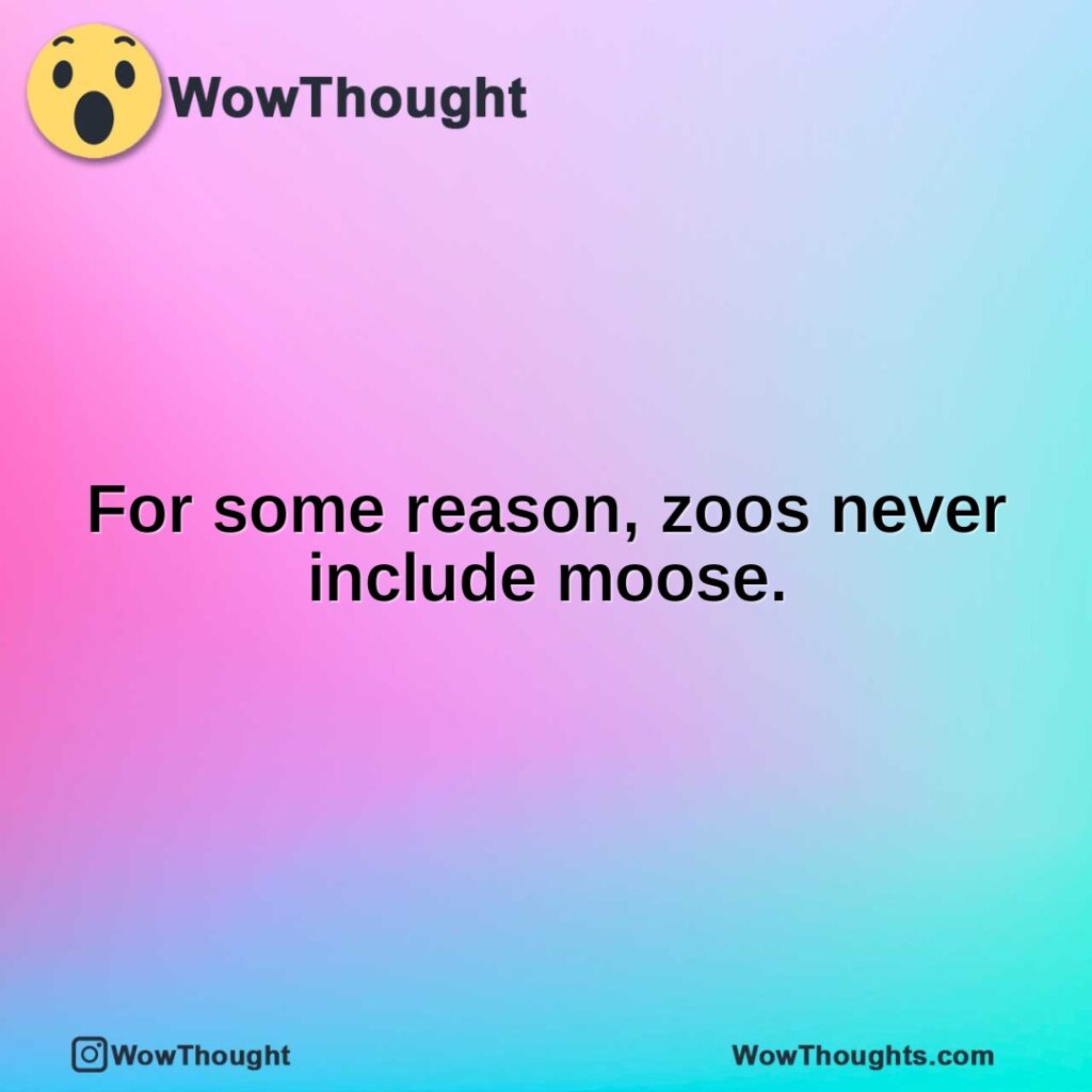 for-some-reason-zoos-never-include-moose.