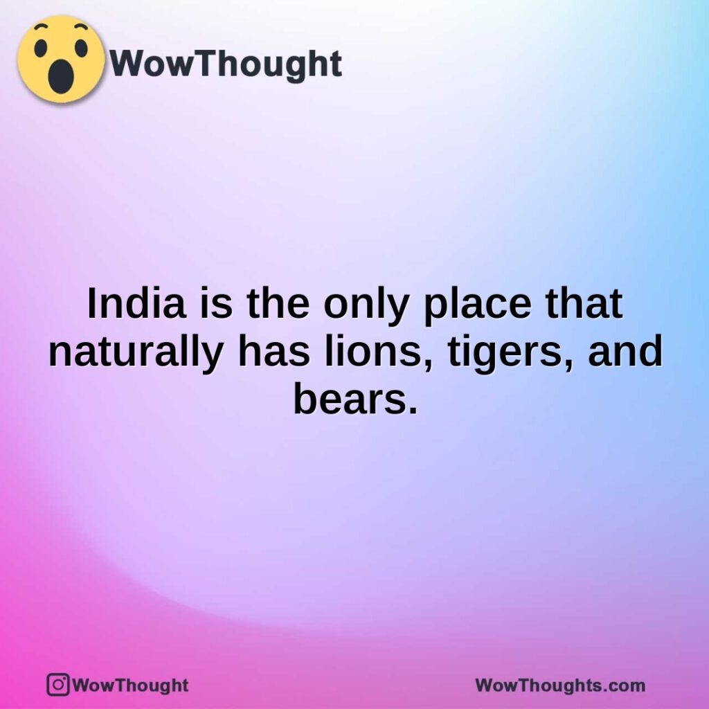 india-is-the-only-place-that-naturally-has-lions-tigers-and-bears.