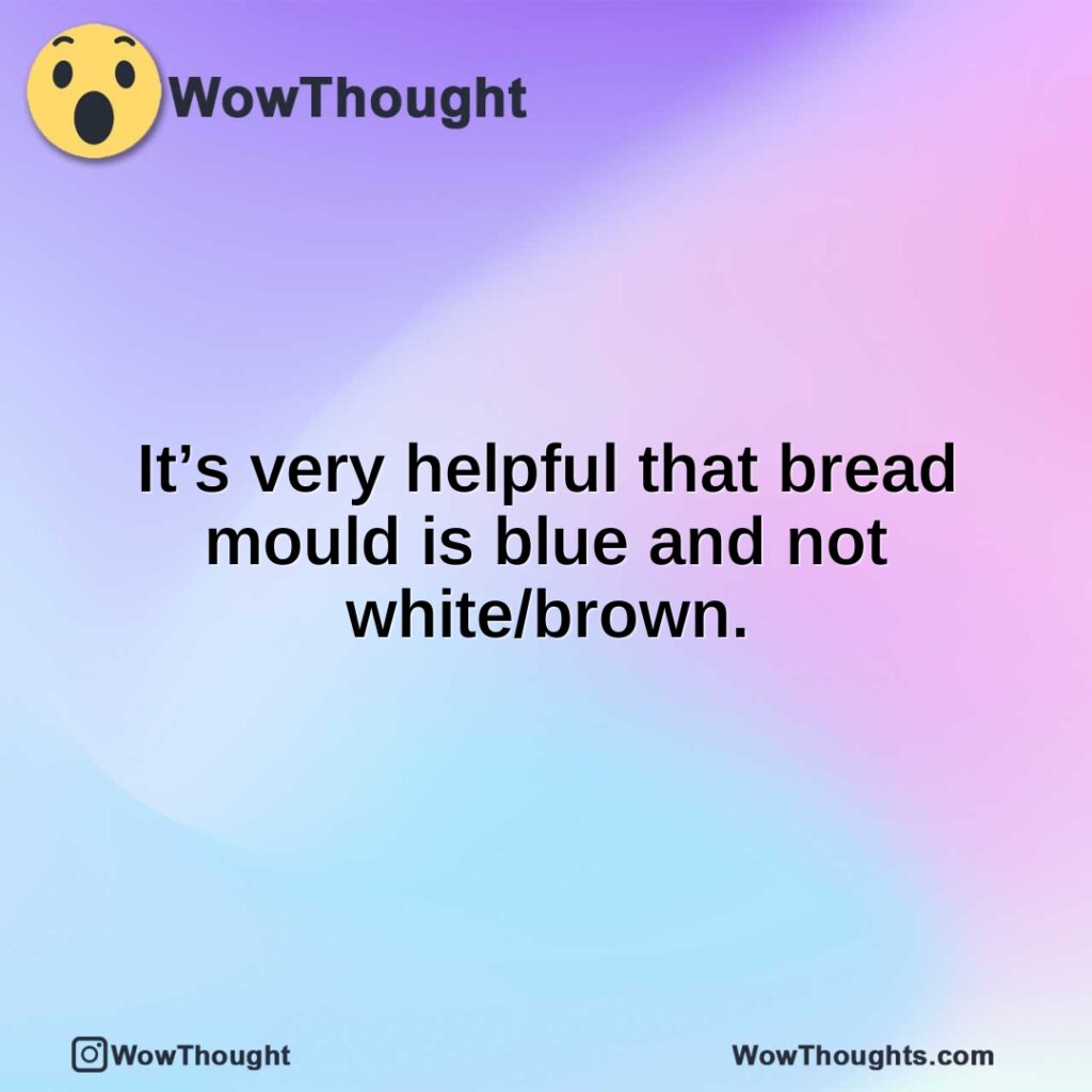 its-very-helpful-that-bread-mould-is-blue-and-not-whitebrown.