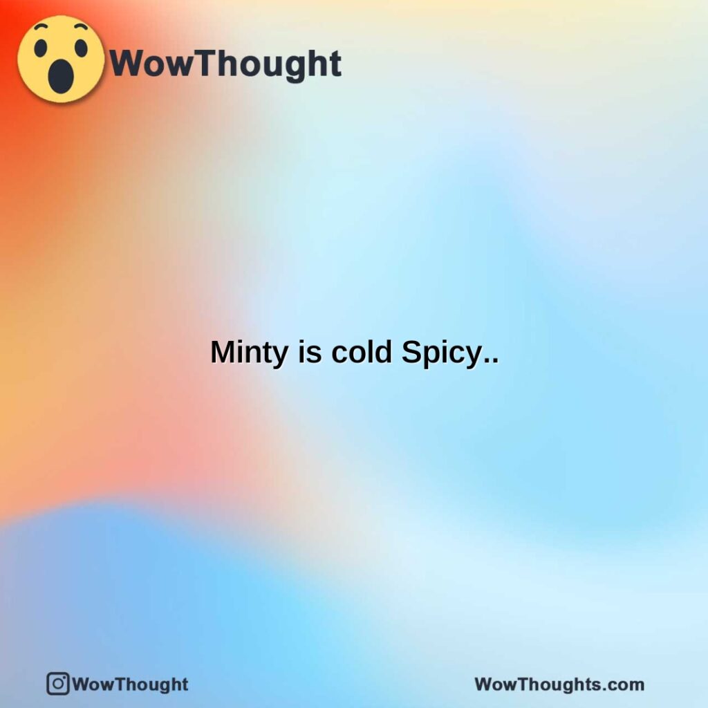 minty-is-cold-spicy..