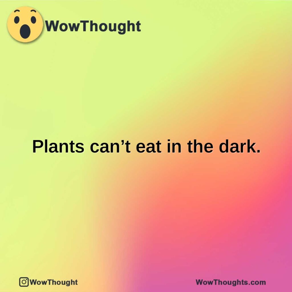 plants-cant-eat-in-the-dark.