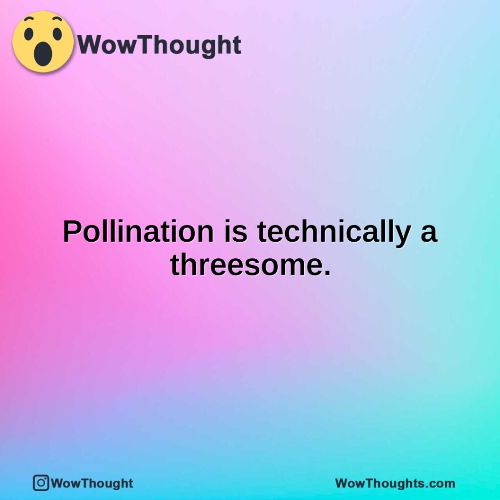 pollination-is-technically-a-threesome.