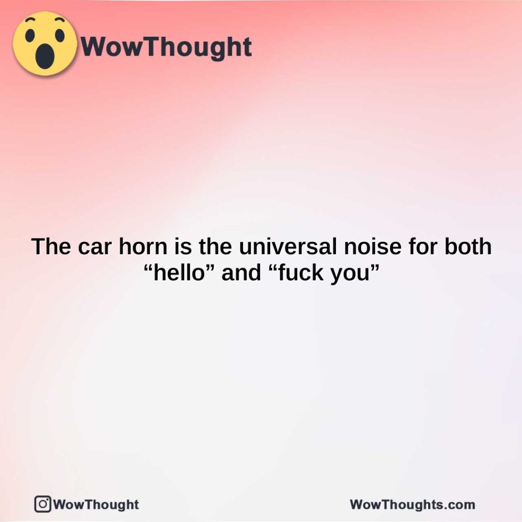 the-car-horn-is-the-universal-noise-for-both-hello-and-fuck-you