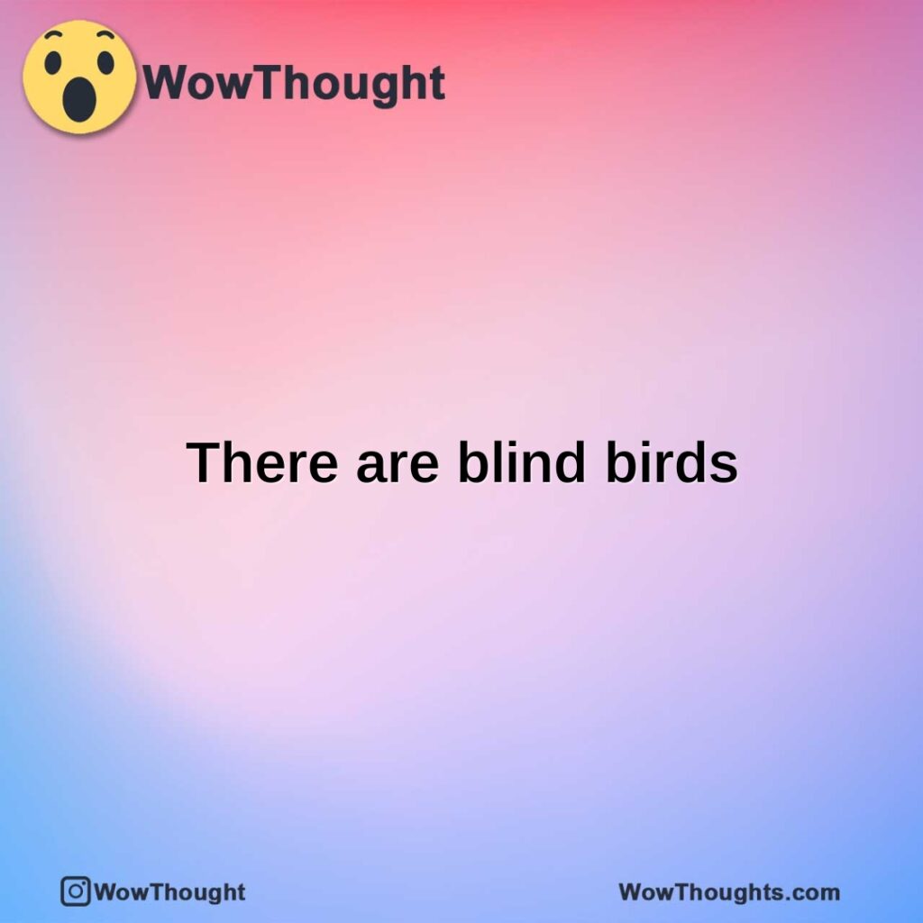 there-are-blind-birds