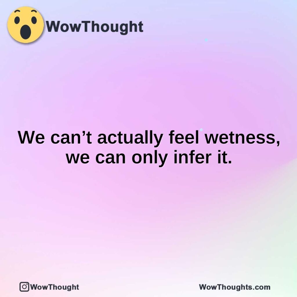 we-cant-actually-feel-wetness-we-can-only-infer-it.