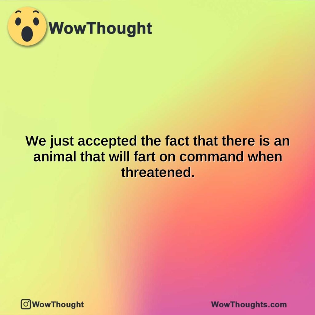 we-just-accepted-the-fact-that-there-is-an-animal-that-will-fart-on-command-when-threatened.