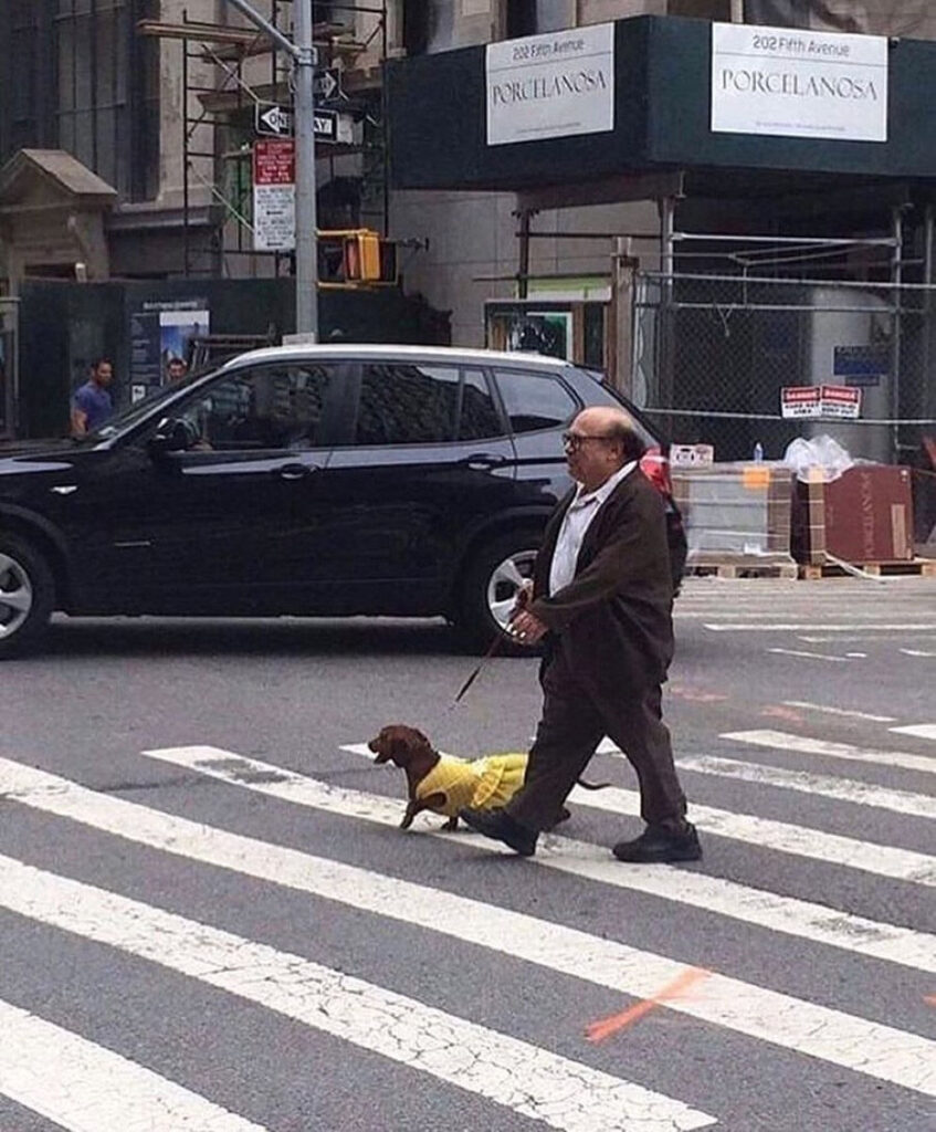 @DankyDevito #DannyDevito #FrankReynolds #DankyDevito