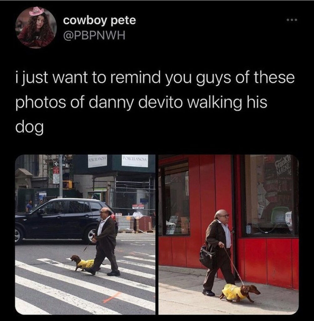 @DankyDevito #DannyDevito #FrankReynolds #DankyDevito