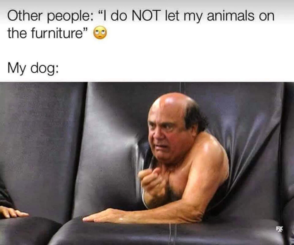 always-sunny-in-philadelphia-meme-untethered-rage (14)