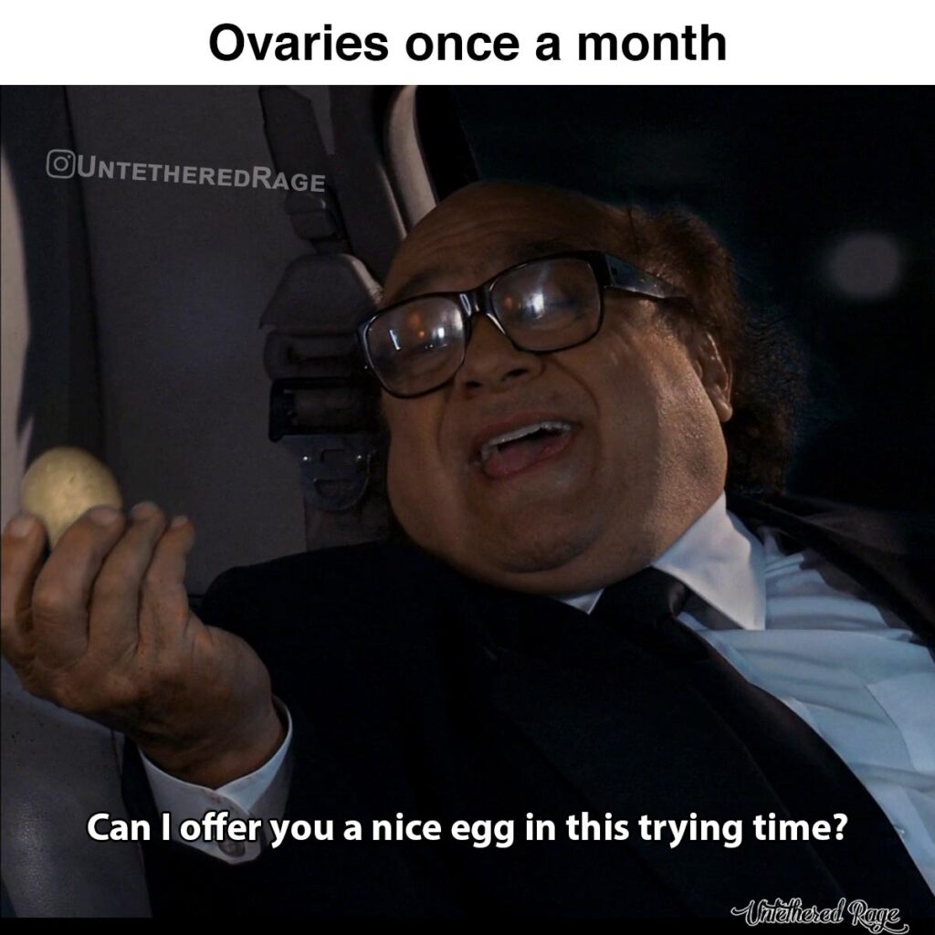 Ovaries once a month