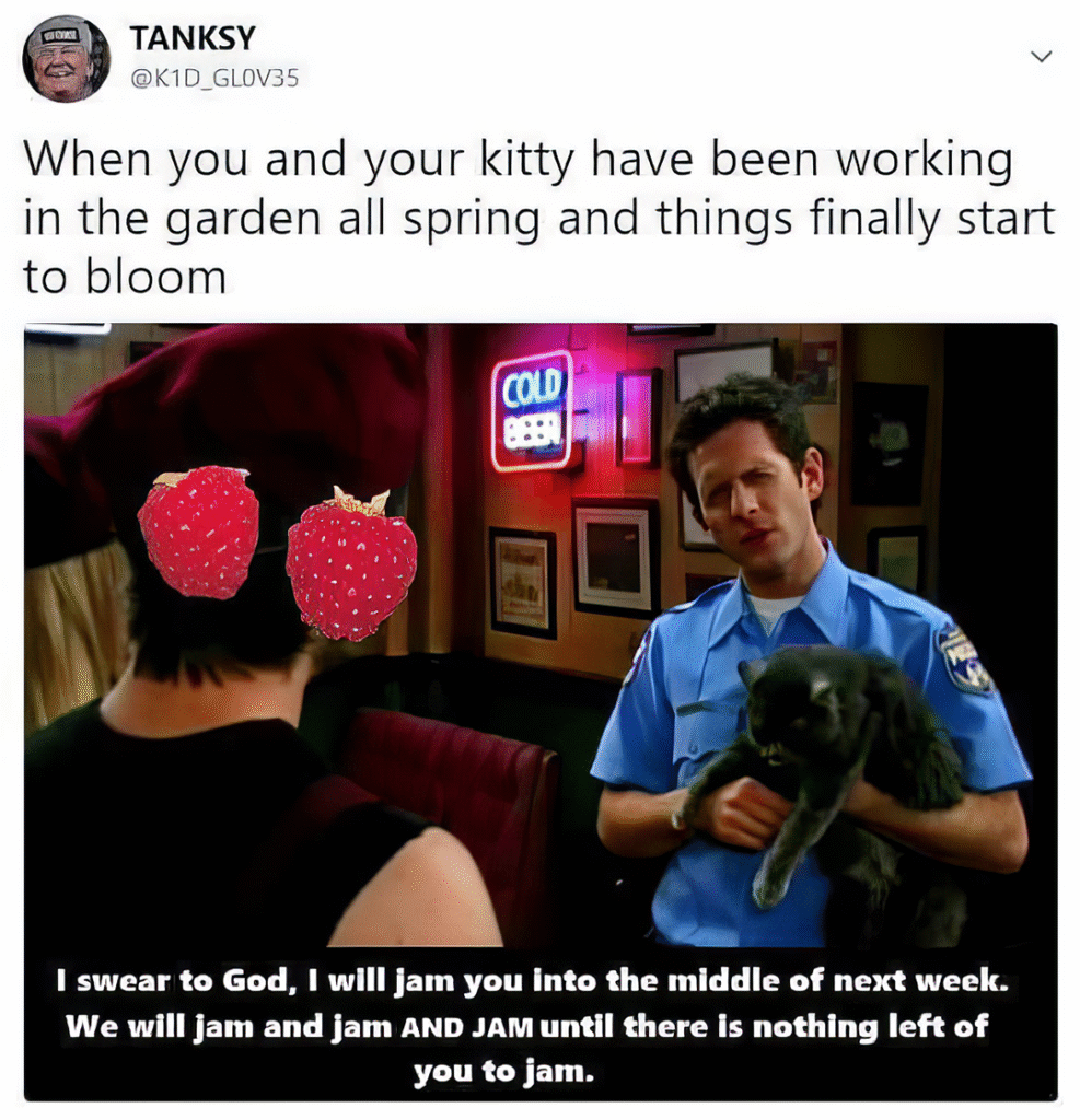 You wanna get jammed up